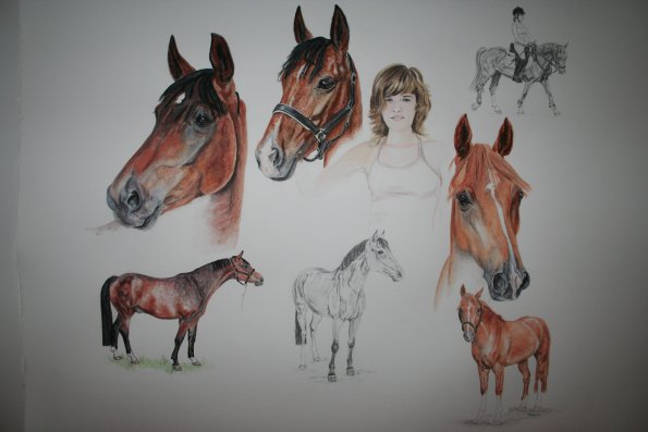 Alina und ihre Pferde