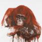 Orang-Utan
