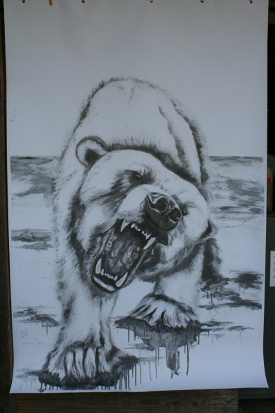eisbär