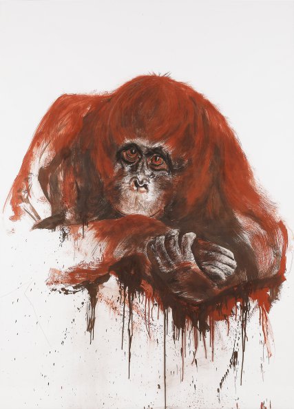 Orang-Utan