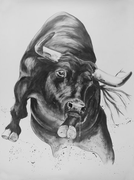 Stier