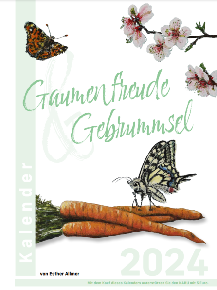 Vorderseite