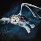 Hedwig