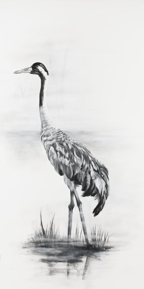 Kranich II