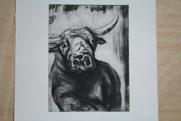 Stier