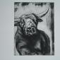 Stier