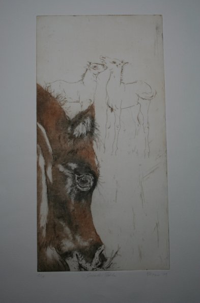 Grasendes Fohlen