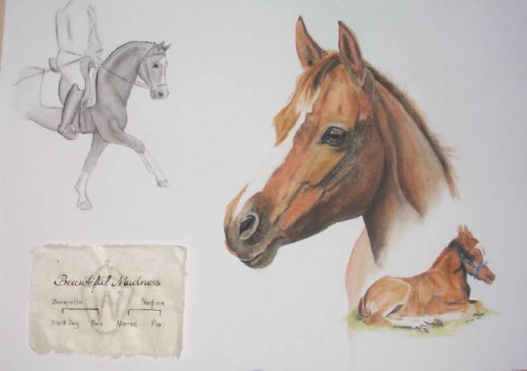 Nessy, Dt. Reitpony