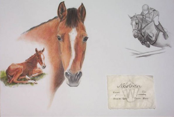 Nadina, Dt.Reitpony