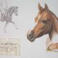 Nessy, Dt. Reitpony